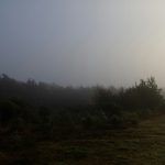 Fotó: Tanya Barrow / Unsplash