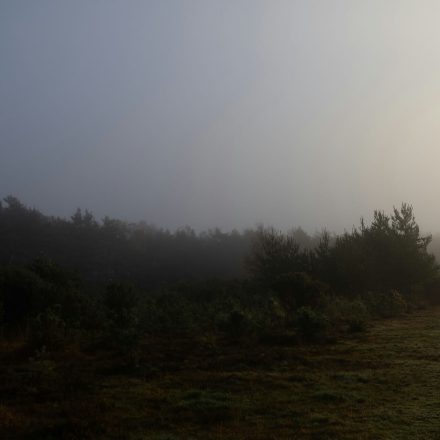 Fotó: Tanya Barrow / Unsplash