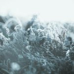 December 16. – Kedd Fotó: Annie Spratt / Unsplash